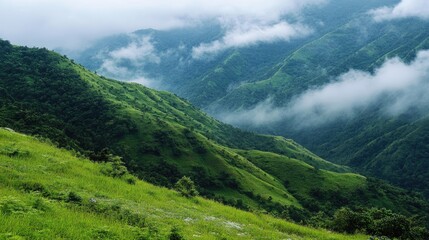 Obraz premium Lush Green Mountain Range Undermisty Skies with Rolling Hills and Gentle Clouds Creating a Serene and Refreshing Atmosphere
