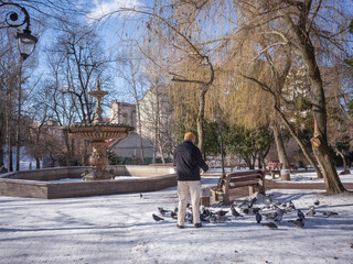 ukrainian man feeding pigeons in snowy park in winter kyiv