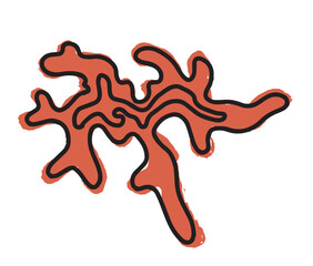 Abstract coral hand drawn vector