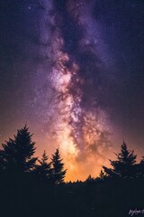 Stunning Night Sky with Milky Way Galaxy Over Silhouetted Pine Trees in a Starry Landscape