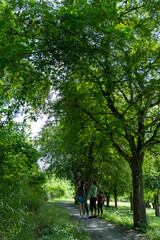 Fototapeta premium Family of 2 LGBT women and their young children enjoy a walk in the woods on vacation, walk in the forest