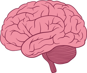 Brain clipart design illustration 