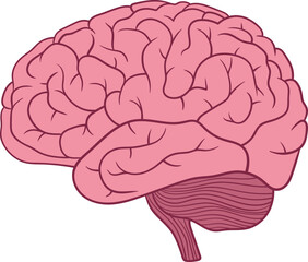 Brain clipart design illustration 