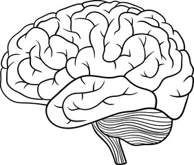 Brain clipart design illustration 