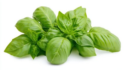 Fototapeta premium A bunch of fresh basil leaves with their vibrant green color and aromatic scent, Each basil leaf’s vibrant color and subtle imperfections captured with precision