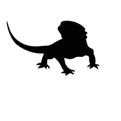 bearded dragon Desing