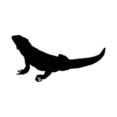 bearded dragon Desing