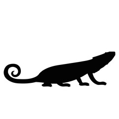 bearded dragon Desing