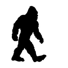 Bigfoot Sightings
