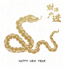 Traditional Chinese Year of the Snake illustration vector 2025