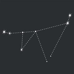 Capricorn zodiac icon with line and point. Detailed flat vector illustration of the zodiac horoscope constellations on top of a dim star background. Hand drawn