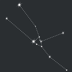 Taurus zodiac icon with line and point. Detailed flat vector illustration of the zodiac horoscope constellations on top of a dim star background. Hand drawn