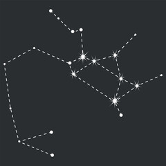 Sagittarius zodiac icon with line and point. Detailed flat vector illustration of the zodiac horoscope constellations on top of a dim star background. Hand drawn