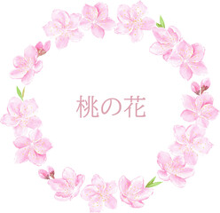 水彩で描いた桃の花の円フレーム