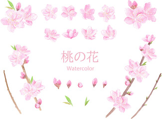 水彩で描いた桃の花のベクターイラストセット