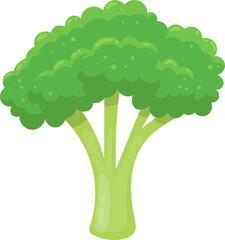 Broccoli clipat design illustration