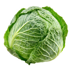 Fresh green cabbage with crisp leaves on display