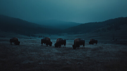 Bison Valley Night: Dark Silhouette, Grazing Herd, Serene Landscape