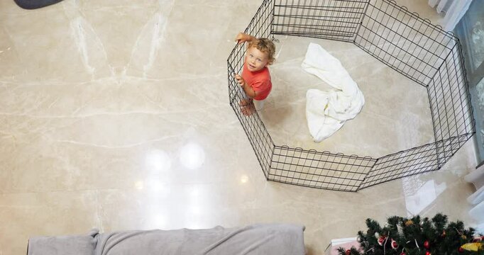 Playful toddler boy stands inside dog playpen in living room, tossing ball and watching it rebound. Top view captures his curious and cheerful antics. Young child looks up at camera