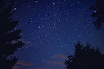 Fototapeta premium A dreamy star-filled sky after a hot summer day .An enchanting anime wallpaper featuring a night sky filled with stars above a lush grassland, creating a peaceful atmosphere.