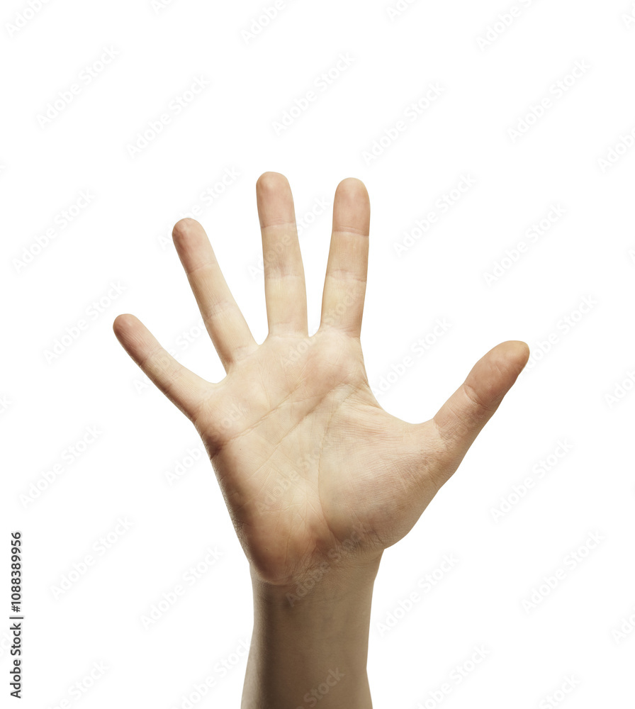 Poster A human hand with fingers spread open, raised and isolated on a clean white background. The image represents a concept of communication or gesture