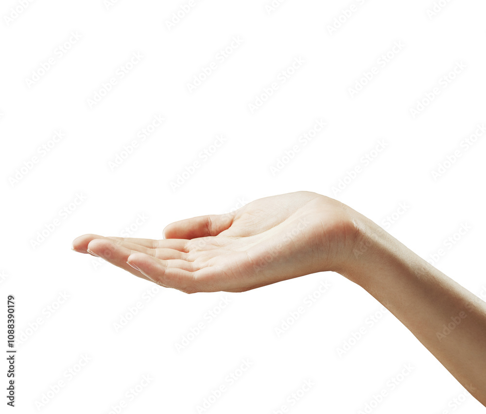 Poster Open hand gesturing with palm up, isolated on a white background. Clean and minimalistic style, ideal for template or product display concepts