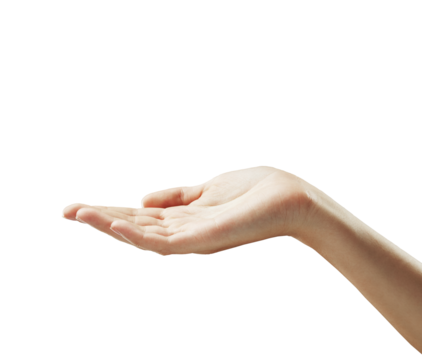 Open hand gesturing with palm up, isolated on a white background. Clean and minimalistic style, ideal for template or product display concepts