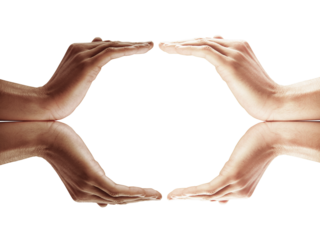 Two human hands facing each other with palms slightly curved inward, mirrored reflection on white background. Isolated and clean composition concept