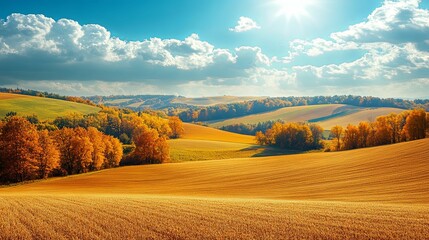 Obraz premium Autumnal Rolling Hills Golden Fields Sunlit Sky
