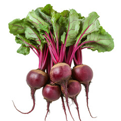 Fresh beetroots with green tops shown