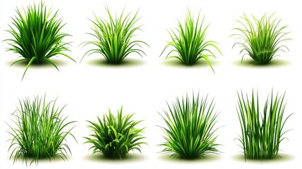 Realistic Green Grass Sprouts Illustration Isolated on Transparent Background - Modern Decorative Garden Element for Football Pitch.