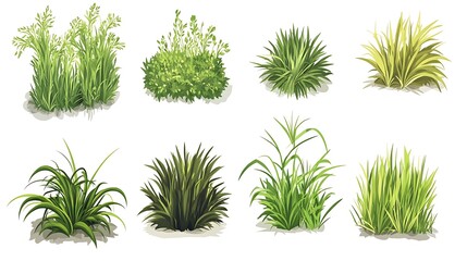 Collection of Diverse Grass and Bush Illustrations