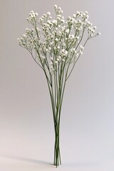 Fototapeta premium Small Bunch of Delicate White Baby s Breath Flowers Against Light Gray Background