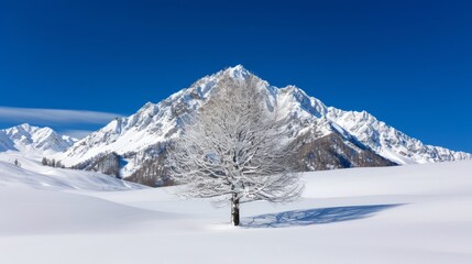 Fototapeta premium Snow-covered mountain landscape with a lone tree.