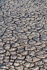 Arid cracked earth texture depicting the environmental issue of desertification and soil dehydration due to climate change and global warming