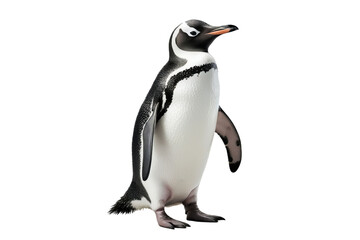 Obraz premium Penguin isolated, transparent background