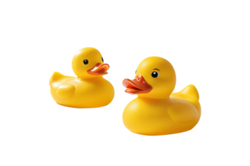 Yellow rubber duck isolated, transparent background