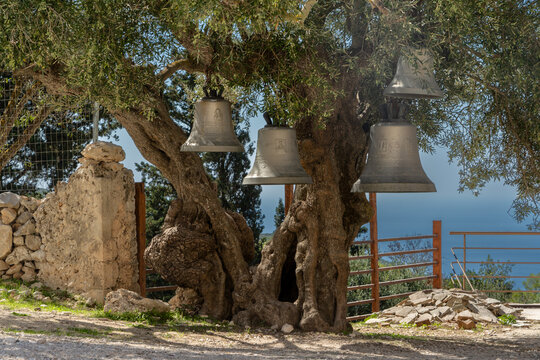 Monastery of Agios Georgios Krimnon -Zakynthos Glocken im Olivenbaum