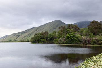A tranquil scene of Pollacapall Lough in Connemara, Ireland, with serene waters bordered by dense foliage and towering hills
