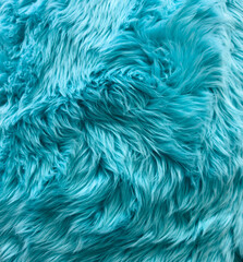 A blue fur with a lot of hair on it