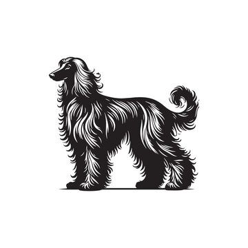 recommend clip art: Minimal Afghan Hound Silhouette - Afghan Hound Vector - Dog Vector Silhouette - Afghan Hound Illustration.