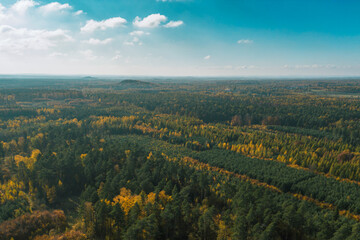 Colorful autumn forest showing stunning fall foliage from above