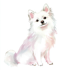 Naklejka na ściany i meble American Eskimo Dog Watercolor Illustration: Simple and Elegant Artwork of a Beloved Canine Companion