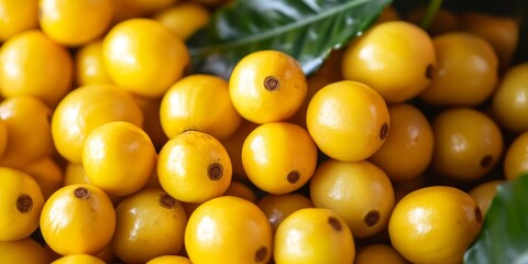 Closeup of fresh yellow coffee fruits showcasing their vibrant color and unique texture, highlighting the beauty of fresh coffee fruits in their natural state.