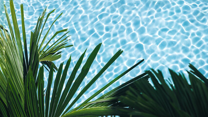 Top view of palm leaves against a background of turquoise water at a swimming pool. Vacation and travel concept. © wedmoments.stock