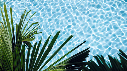 Top view of palm leaves against a background of turquoise water at a swimming pool. Vacation and travel concept. © wedmoments.stock