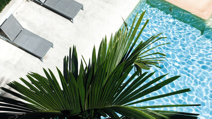 Top view of palm leaves against a background of turquoise water at a swimming pool. Vacation and travel concept. © wedmoments.stock