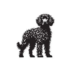 American Spaniel Vector - Illustration Of American Spaniel - Minimalist American Spaniel Silhouette..