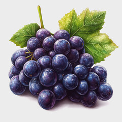 Fototapeta premium Fresh and Juicy Grapes on a White Background with Lush Green Leaves, Perfect for Healthy Eating and Organic Food Themes