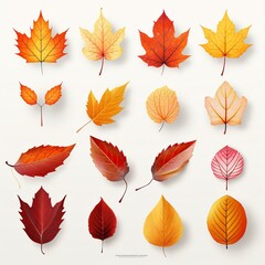 Obraz premium Set of colorful illustrations depicting various autumn leaves, showing different shapes and colors against a white background for seasonal decoration.